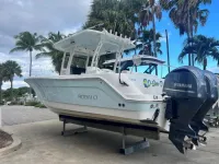 Robalo 