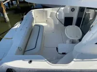 Sea Ray 420 Sedan Bridge