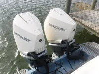 Scout 300 lxf