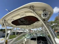 Hydra-Sports 2500 VX Vector