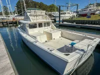 Bertram Fly Bridge Cruiser 