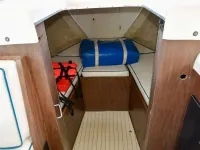 Bertram Fly Bridge Cruiser 