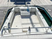 Bertram Fly Bridge Cruiser 