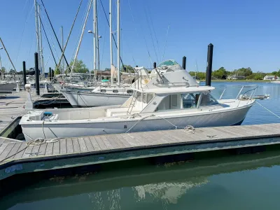 Bertram Fly Bridge Cruiser 