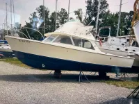 Bertram Fly Bridge Cruiser 