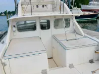 Bertram Fly Bridge Cruiser 