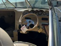 Sea Ray 190 Cuddy Cabin 