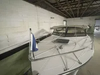 Albemarle 24 