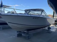 Albemarle 24 