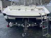 Stingray 21 