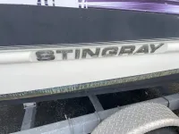 Stingray 21 