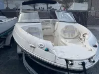 Stingray 21 