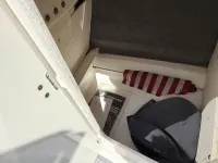 Chaparral 246 SSi  
