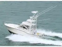 Carolina Classic 32 Express 