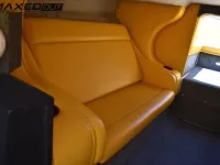Cheetah Cx 29