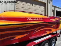 Cheetah Cx 29