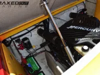 Cheetah Cx 29