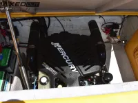 Cheetah Cx 29