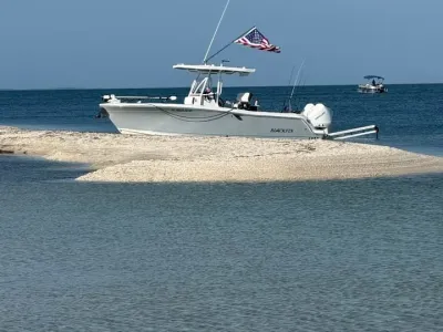 Blackfin 252cc 