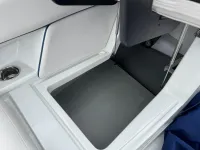 Crownline 290 xss