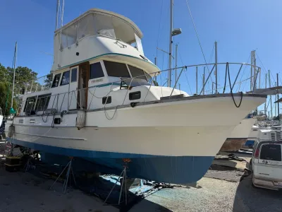 Delta 46 