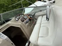 Sea Ray Sundancer Sun Dancer 300