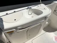 Chaparral Sunesta 242