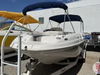 Chaparral Sunesta 242