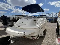 Chaparral Sunesta 242