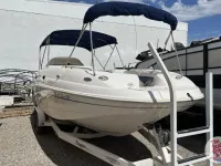 Chaparral Sunesta 242