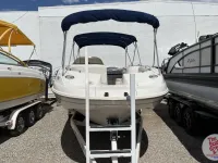 Chaparral Sunesta 242