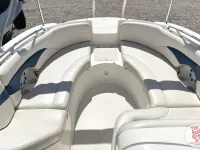 Chaparral Sunesta 242