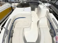 Chaparral Sunesta 242