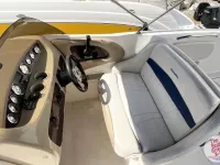 Chaparral Sunesta 242
