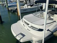 Sea Ray 190 Sport