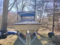 Boston Whaler Revenge
