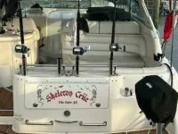 Sea Ray 330 Express Cruiser 