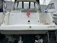 Sea Ray 290 Sundancer
