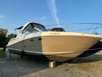 Sea Ray 290 Sundancer
