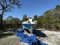 Wellcraft 35 Scarab Sport