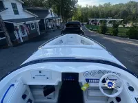 Cobra 