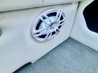 Cobra 