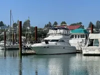 Sea Ray 400 Sedan Bridge