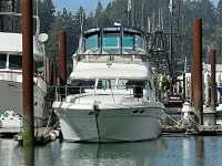 Sea Ray 400 Sedan Bridge