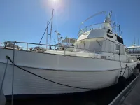 Grand Banks Classic 46