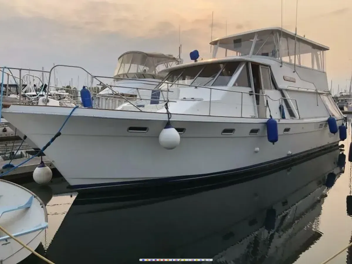 Bayliner 4550 Motoryacht 