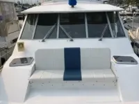 Bayliner 4550 Motoryacht
