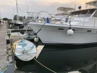 Bayliner 4550 Motoryacht