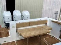 Raptor 390 Solarium