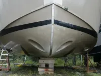 Custom Freestyle 32